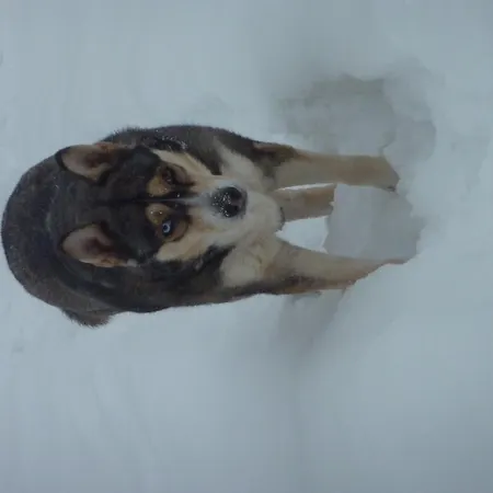 Le Des Moines Condat (Cantal)