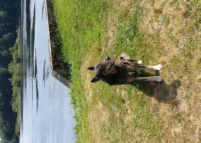 Le Des Moines Hotel 2*